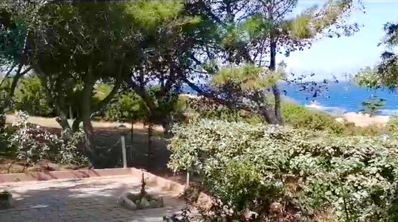 Villetta Dei Ginepri Costa Paradiso Exterior foto